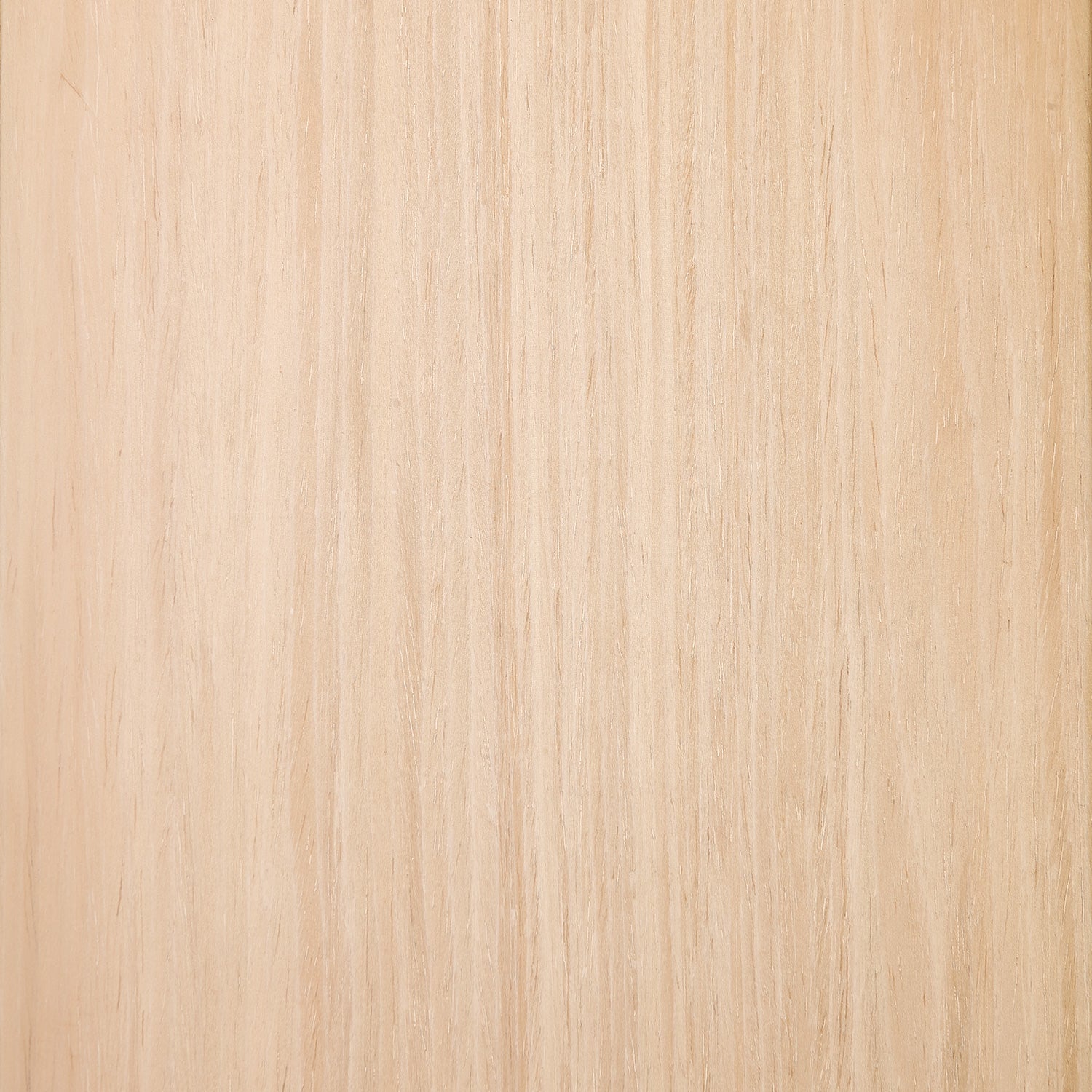 Close-up of a light wood texture
